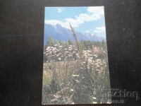 Παλαιό ρωσικό ημερολόγιο, 1981, Καλοκαίρι στα βουνά