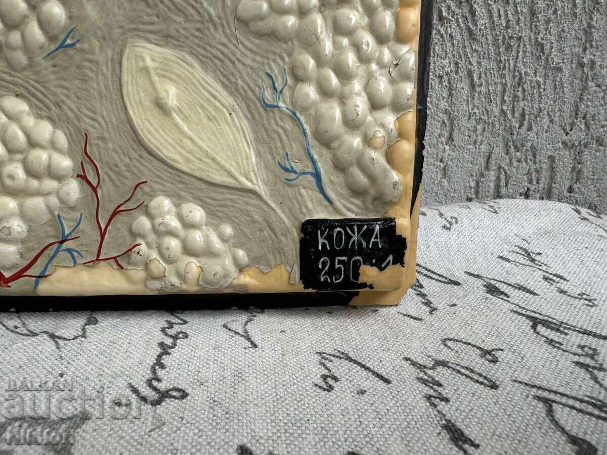 Modele de studiu social de biologie - 5