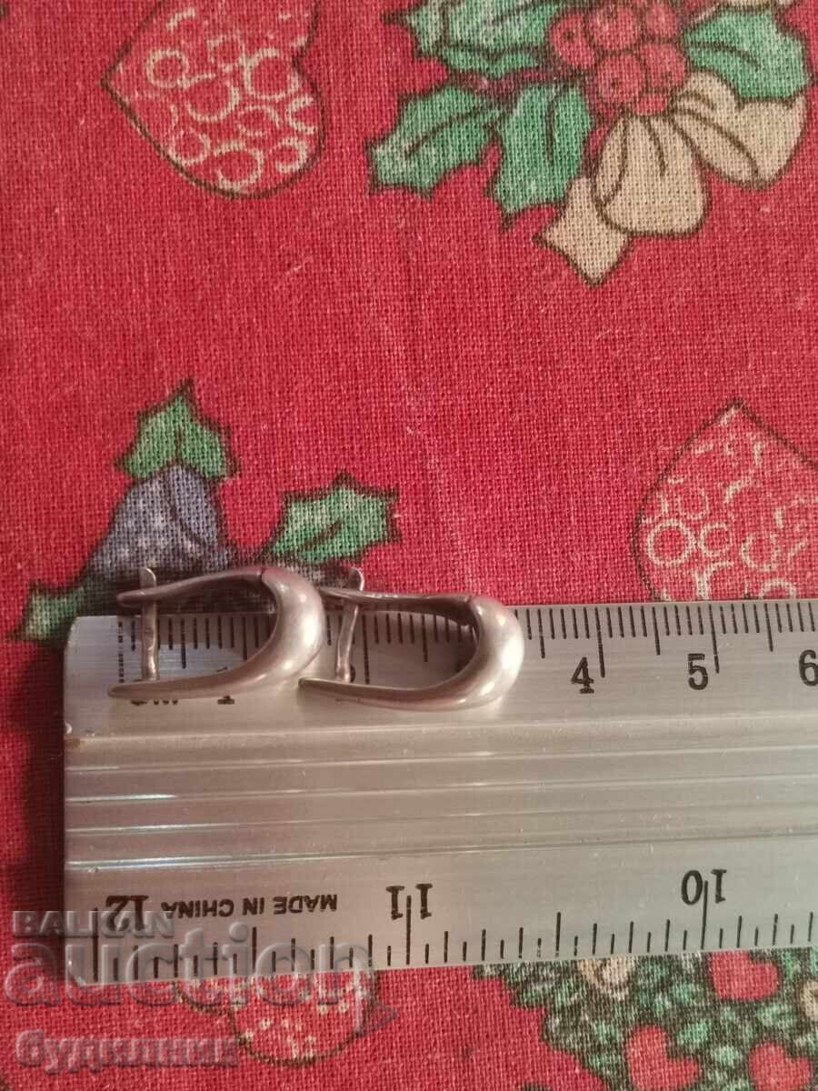 Сребърни обеци. Пускам над 100 Аукциона. Разгледайте и остан - 6 Сребърни обеци. Пускам над 100 Аукциона. Разгледайте и остан - 6