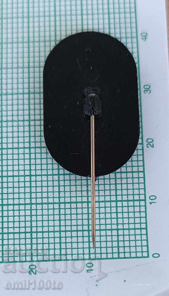 Доставка на Значка- Зимна Олимпиада Калгари 1988 Канада Доставка на Значка- Зимна Олимпиада Калгари 1988 Канада