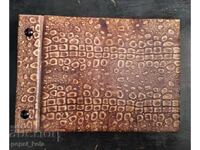 Old snake skin photo album