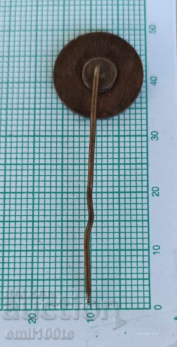 Licitație Insigna rară - 100g. Autoturisme Steyr Daimler Puch Austria