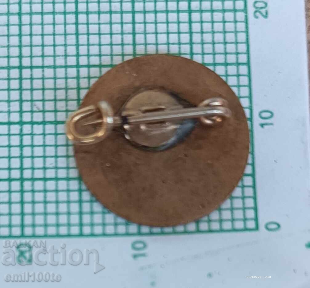 Emblemă - Autobuz SETRA SETRA logo - 6