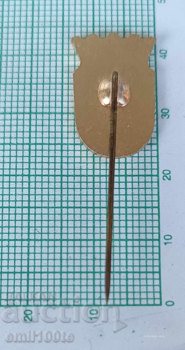 Delivery of Badge - GRUNDIG