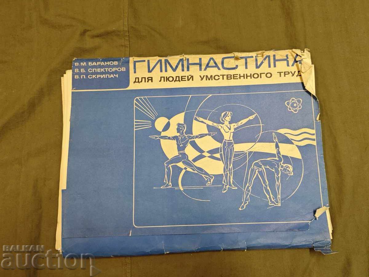 " Гимнастика для людей умственного труда "