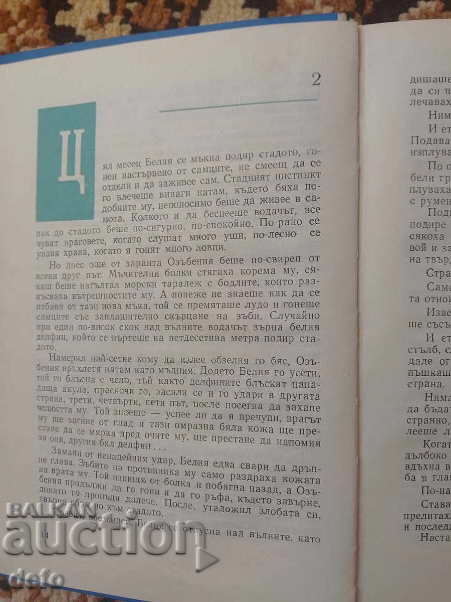 Παράδοση Ο Λευκός Λοtsman - Πέταρ Μπόμπεφ Παράδοση Ο Λευκός Λοtsman - Πέταρ Μπόμπεφ