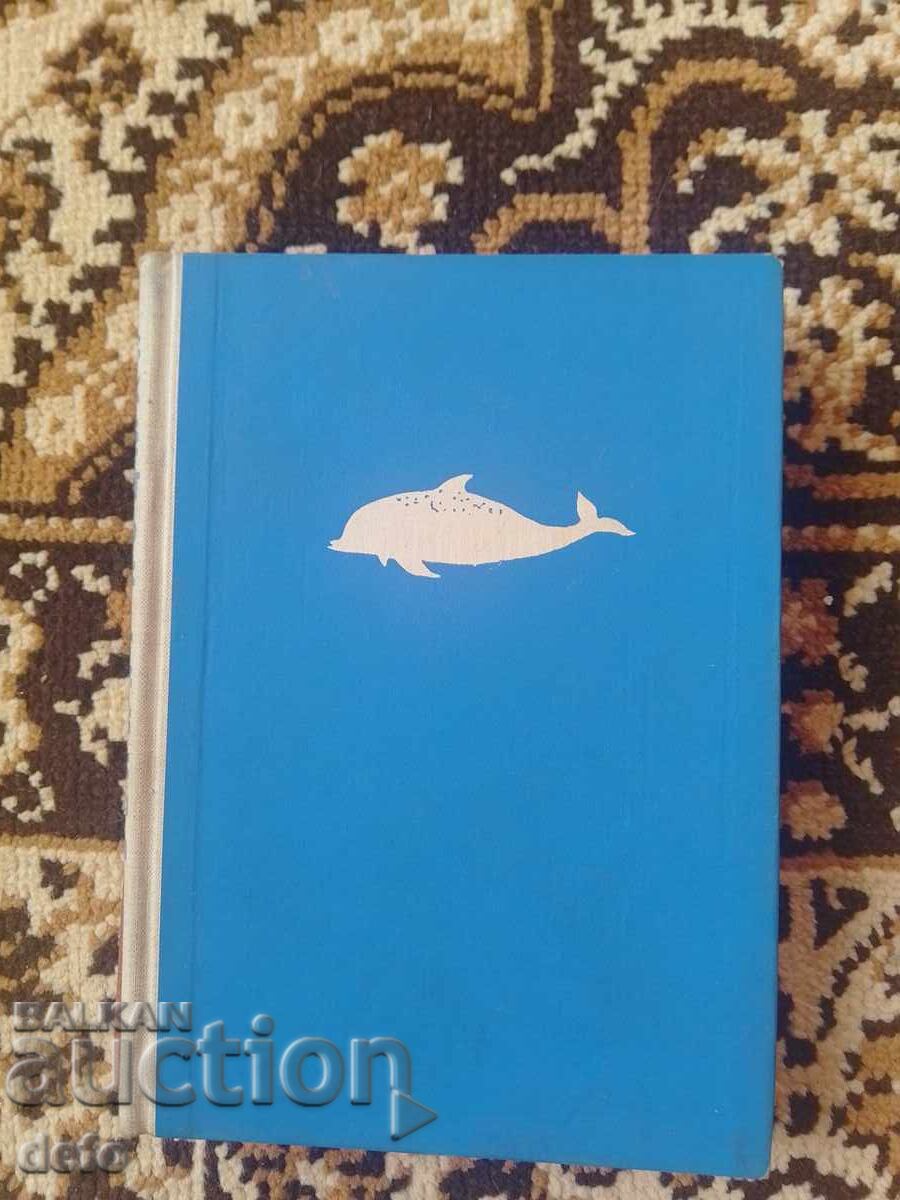 Ο Λευκός Λοtsman - Πέταρ Μπόμπεφ Ο Λευκός Λοtsman - Πέταρ Μπόμπεφ