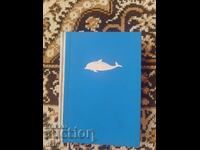 Ο Λευκός Λοtsman - Πέταρ Μπόμπεφ