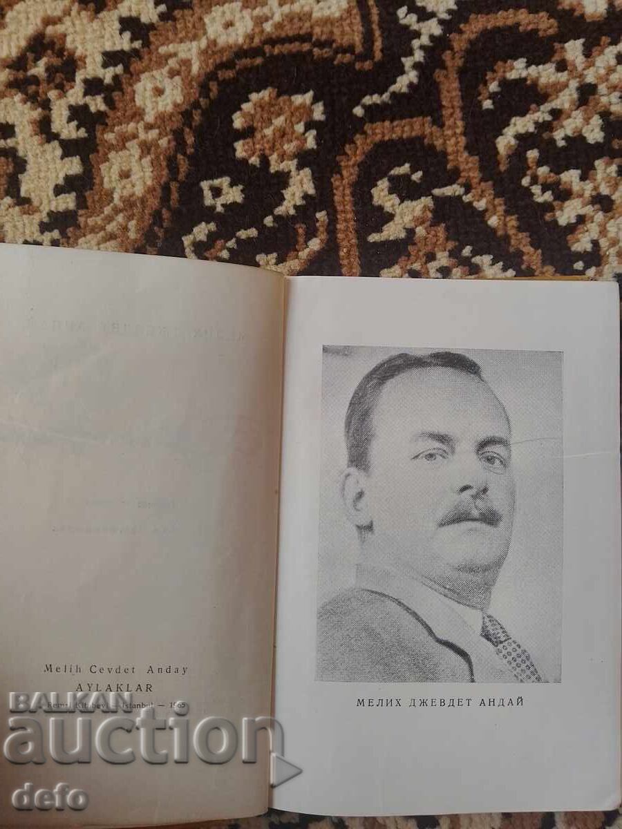 Licitație Leneși - Melih Cevdet Anday