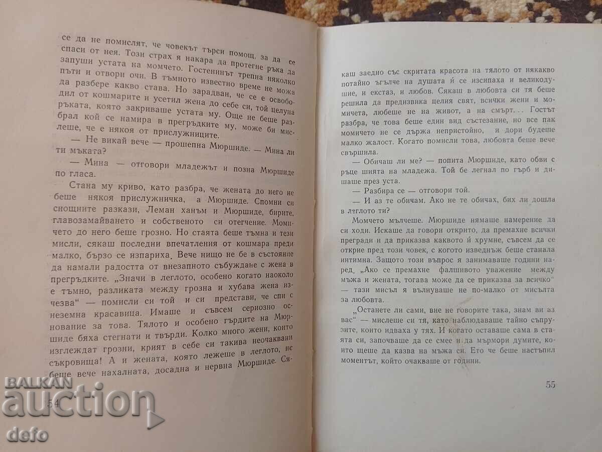 Leneși - Melih Cevdet Anday - 5