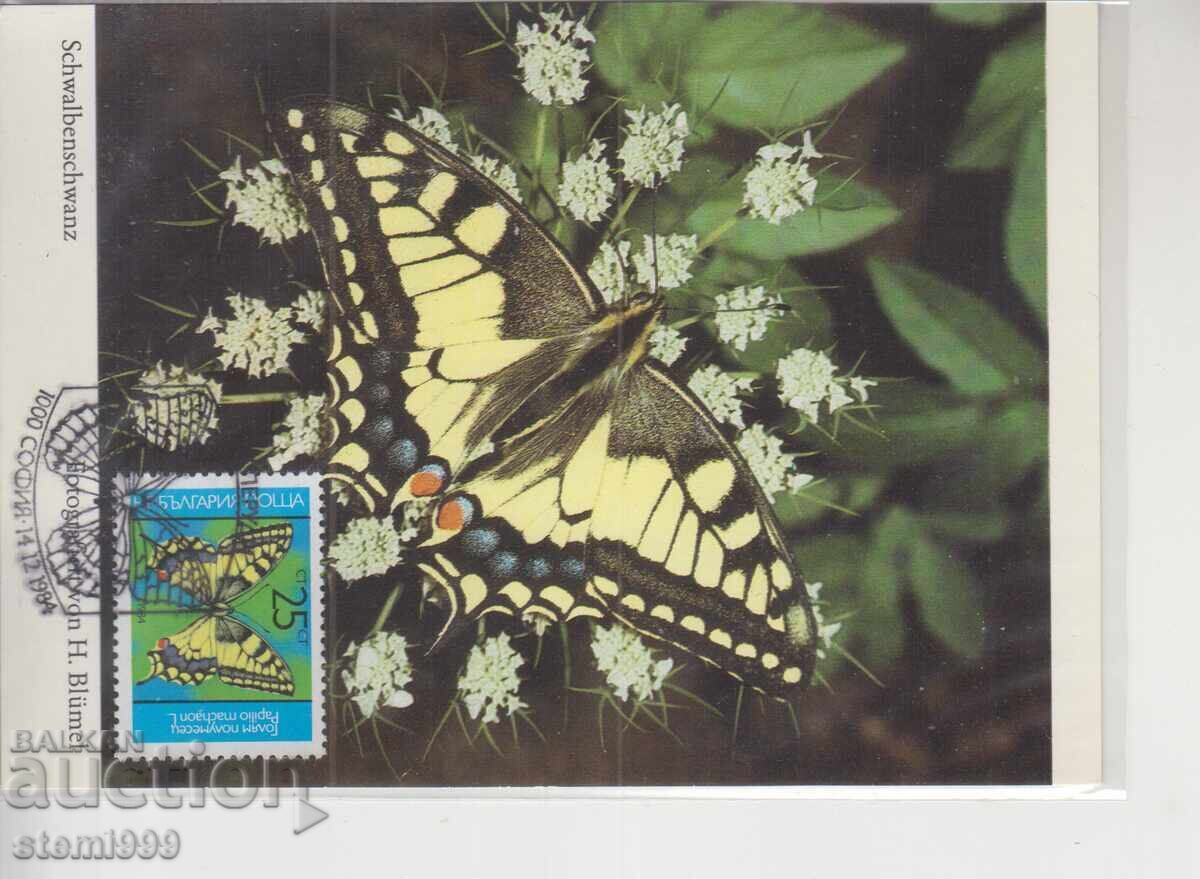 Postcard MAX FDC Butterflies Insects