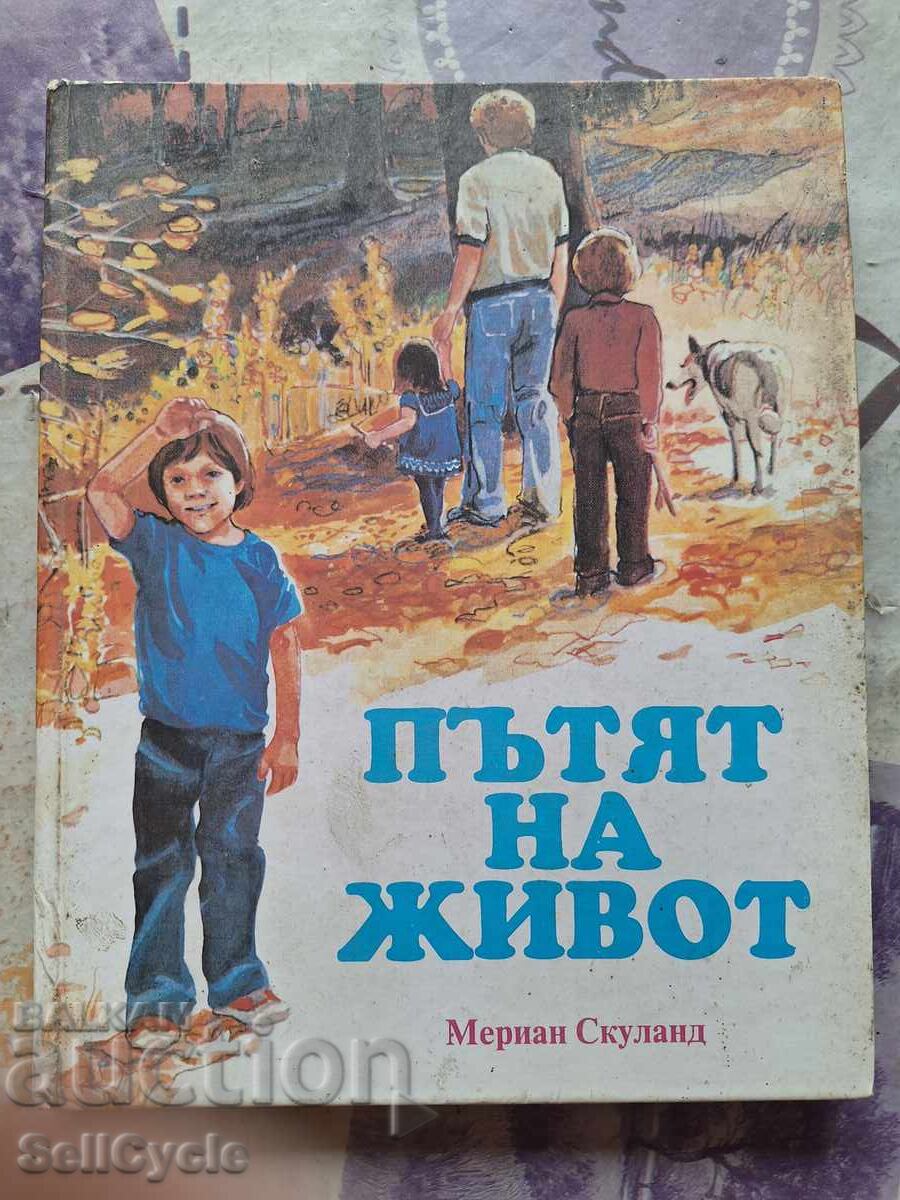 ✅ THE ROAD OF LIFE - MERIAN SCHULAND❗ ✅ THE ROAD OF LIFE - MERIAN SCHULAND❗