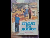 ✅ THE ROAD OF LIFE - MERIAN SCHULAND❗