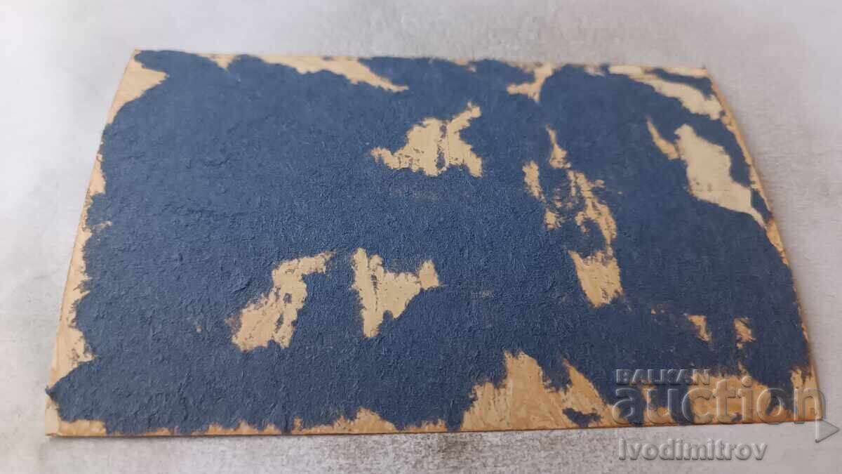 S-ka Επιβατών στην τραπεζαρία του ατμόπλοιου καθ' οδόν προς Βουδαπέστη με τιμή 3.65 BGN | € 1.87