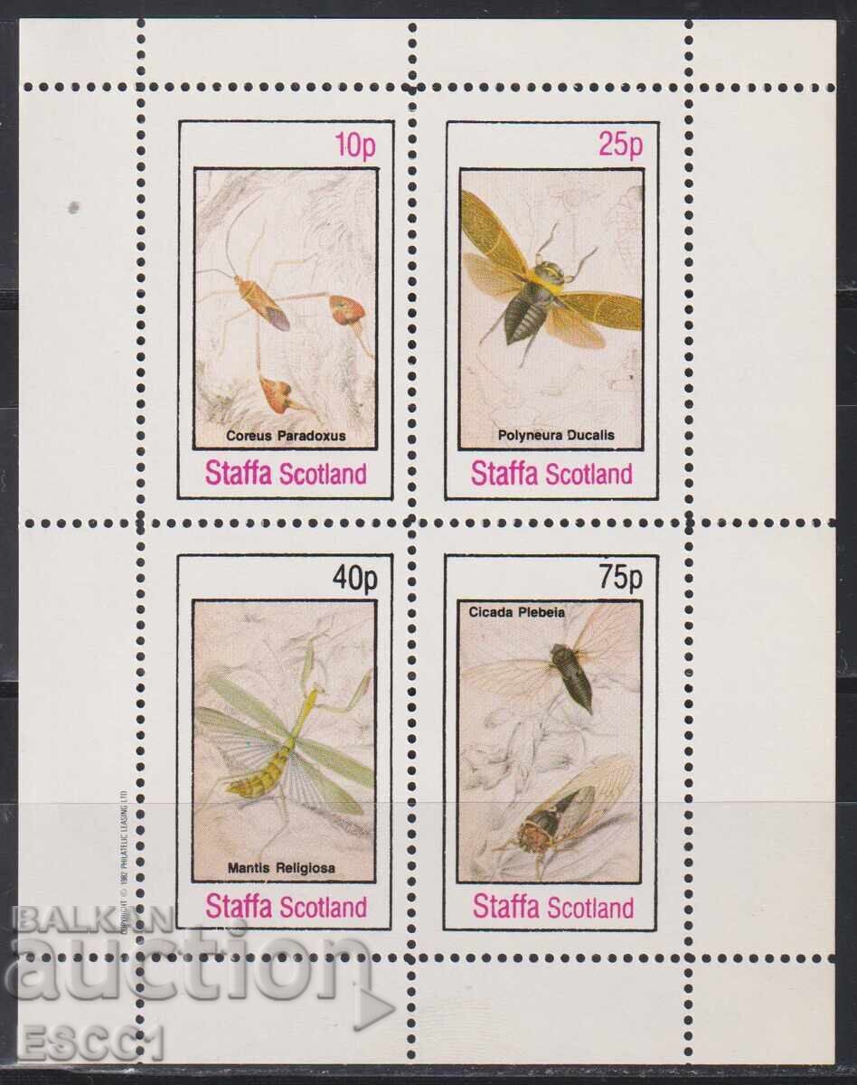 Καθαρές σφραγίδες σε μικρό φύλλο Πανίδα Έντομα από Σκωτία Στάφα