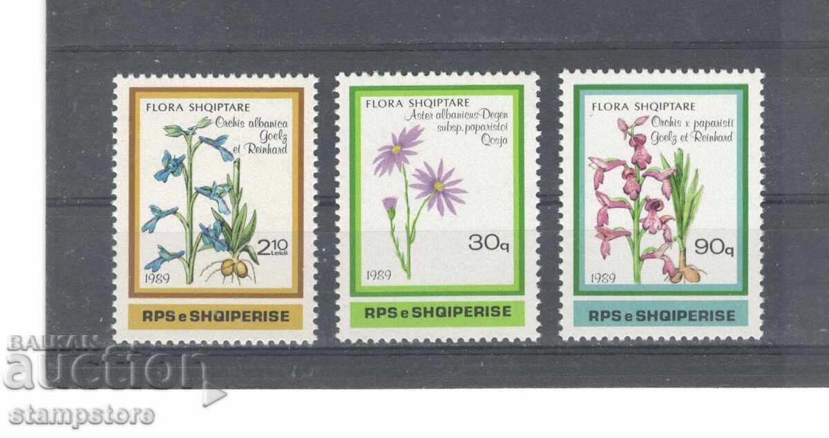 Albania - Plants Albania - Plants