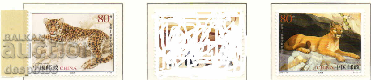 2005. China. Big cats