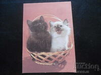 Old Russian Calendar, 1991