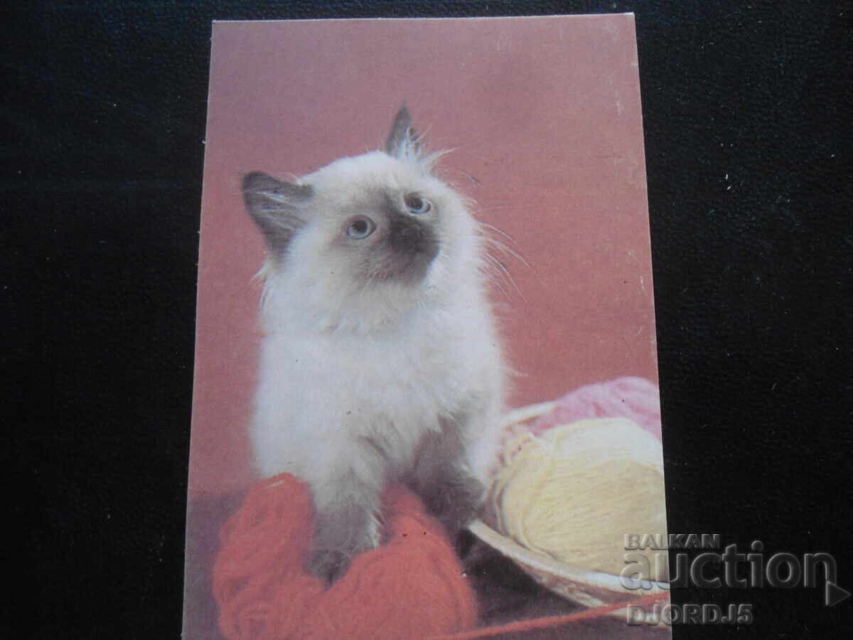 Старо руско календарче, 1991 г. Старо руско календарче, 1991 г.