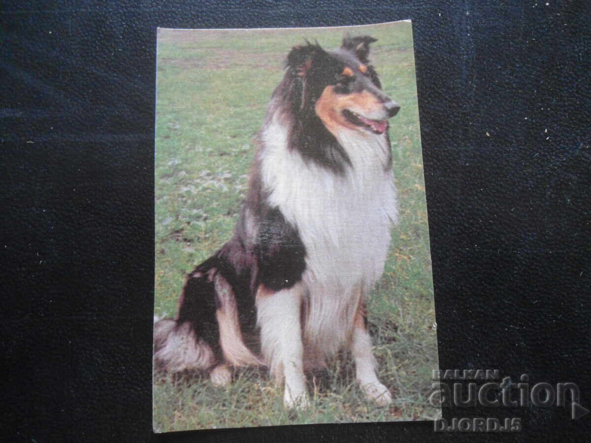 Старо руско календарче, 1993 г.