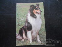 Calendar vechi rusesc, 1993