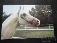 Παλιό βουλγαρικό ημερολόγιο, 1989