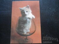 Calendar vechi bulgăresc, 1985