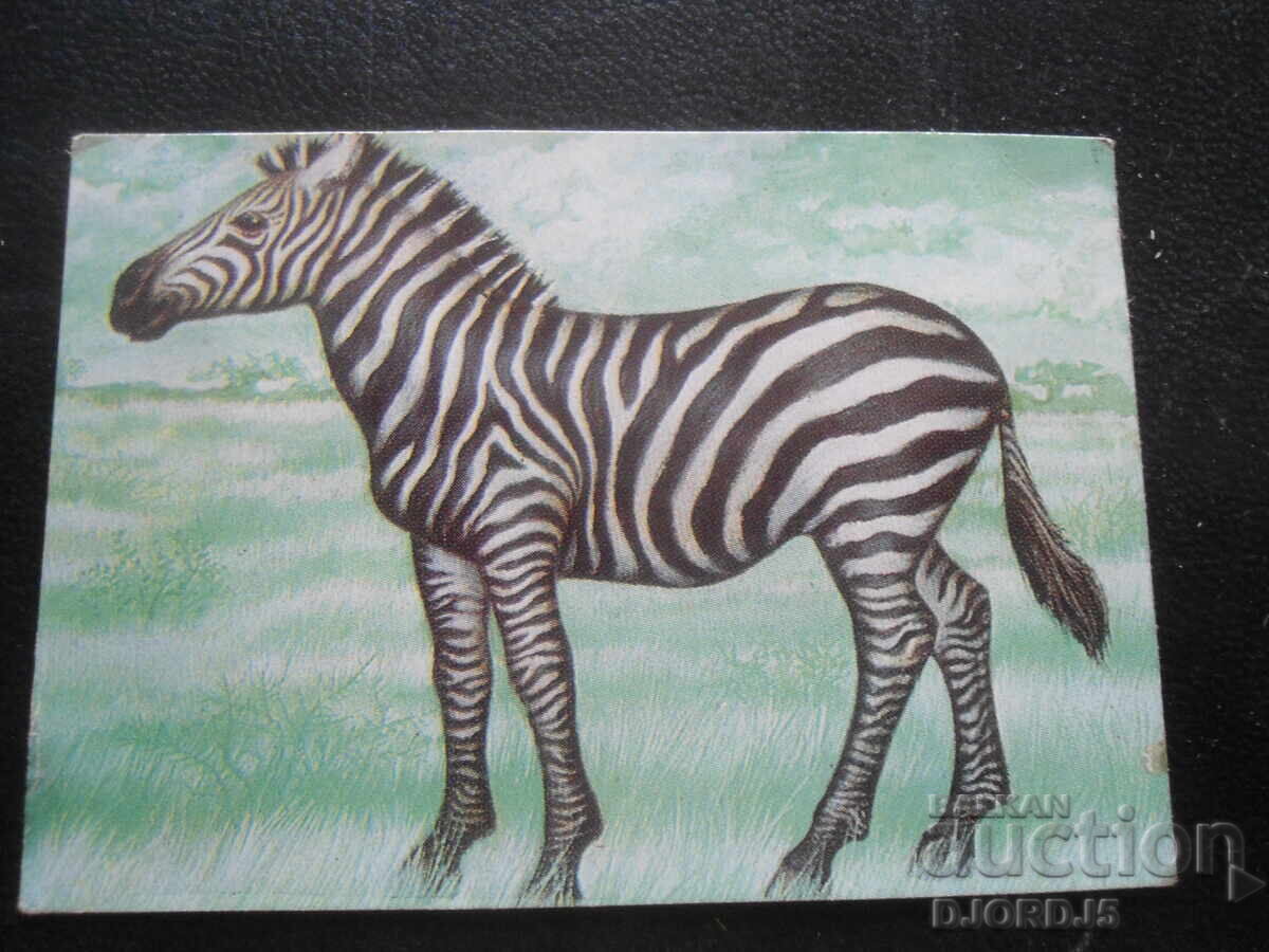 Calendar vechi bulgăresc, 1979