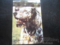 Παλιό βουλγαρικό ημερολόγιο, 1986