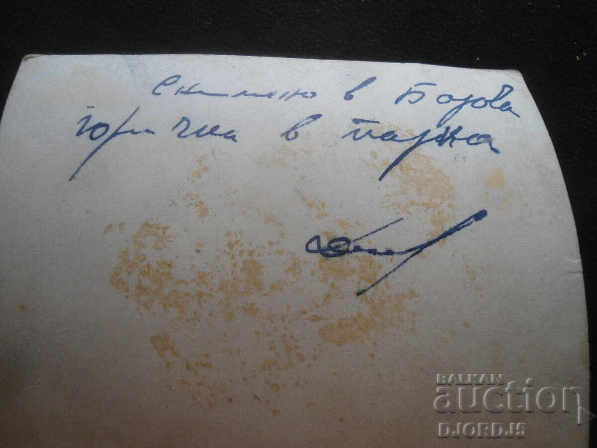 Стара снимка, В борова горичка в парка с цена 1.00 лв. | € 0.51 Стара снимка, В борова горичка в парка с цена 1.00 лв. | € 0.51