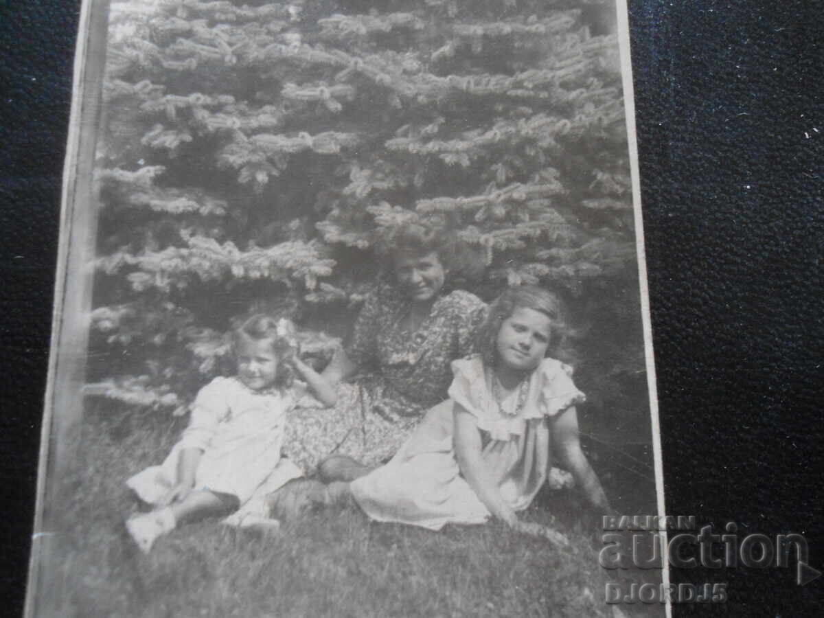 Стара снимка, В борова горичка в парка Стара снимка, В борова горичка в парка