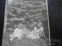 Παλιά φωτογραφία, Σε πευκόφυτο δασάκι στο πάρκο