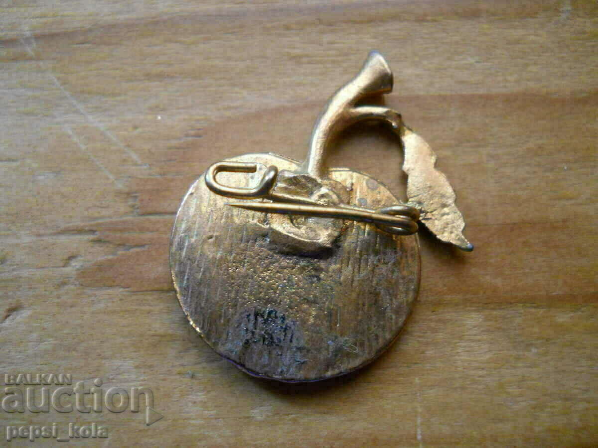 Παλιά καρφίτσα - μήλο (σμάλτο) με τιμή 10.00 BGN | € 5.11