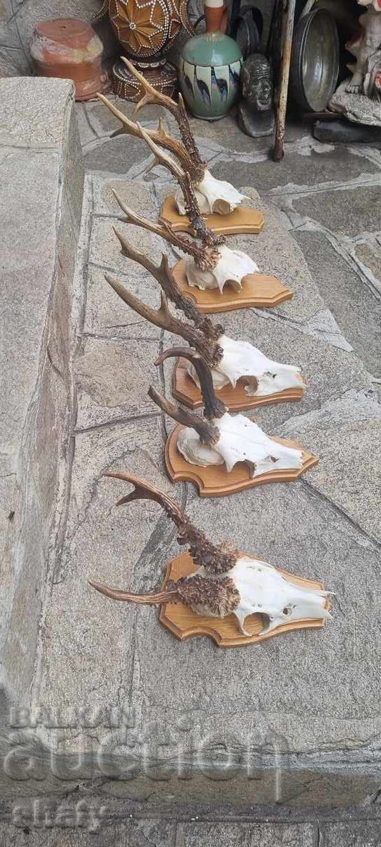 Τρόπαιο από σαρδανάκ - 7