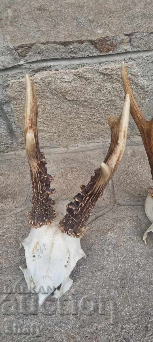 Доставка на Трофей от съръндак