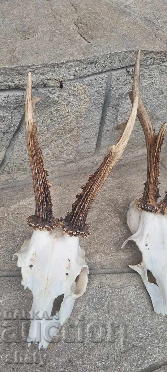 Трофей от съръндак - 5