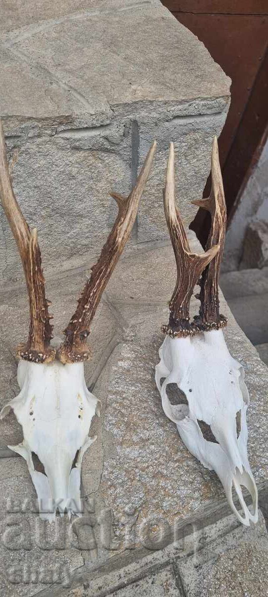 Трофей от съръндак - 6