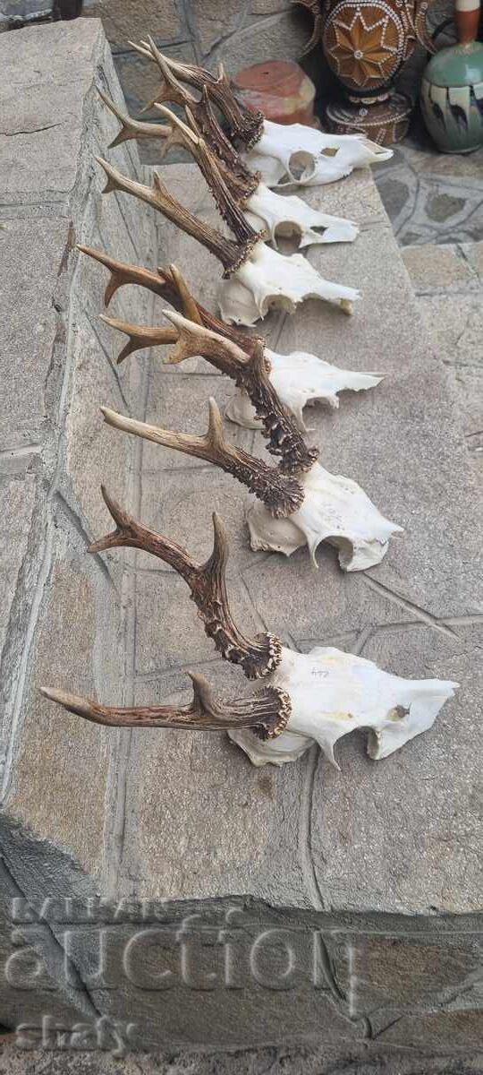 Трофей от съръндак - 7