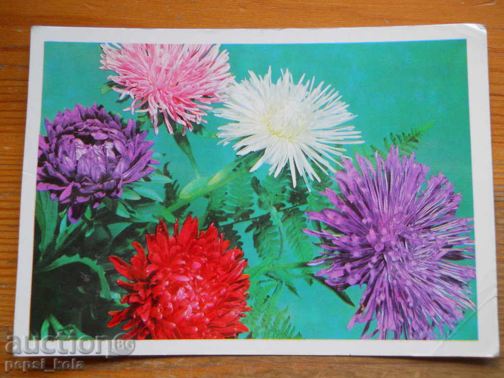 Ευχετήρια Κάρτα - Συγχαρητήρια - ΕΣΣΔ - 1978