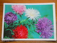 Greeting card - congratulatory card - USSR - 1978