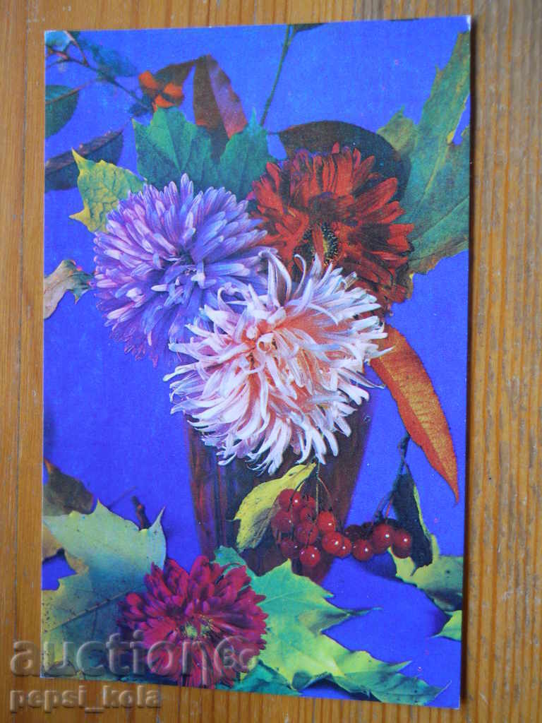 Поздравителна картичка - честитка - СССР - 1976 г