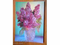 Greeting card - congratulatory - USSR - 1981