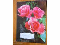 Greeting card - congratulatory card - USSR - 1978