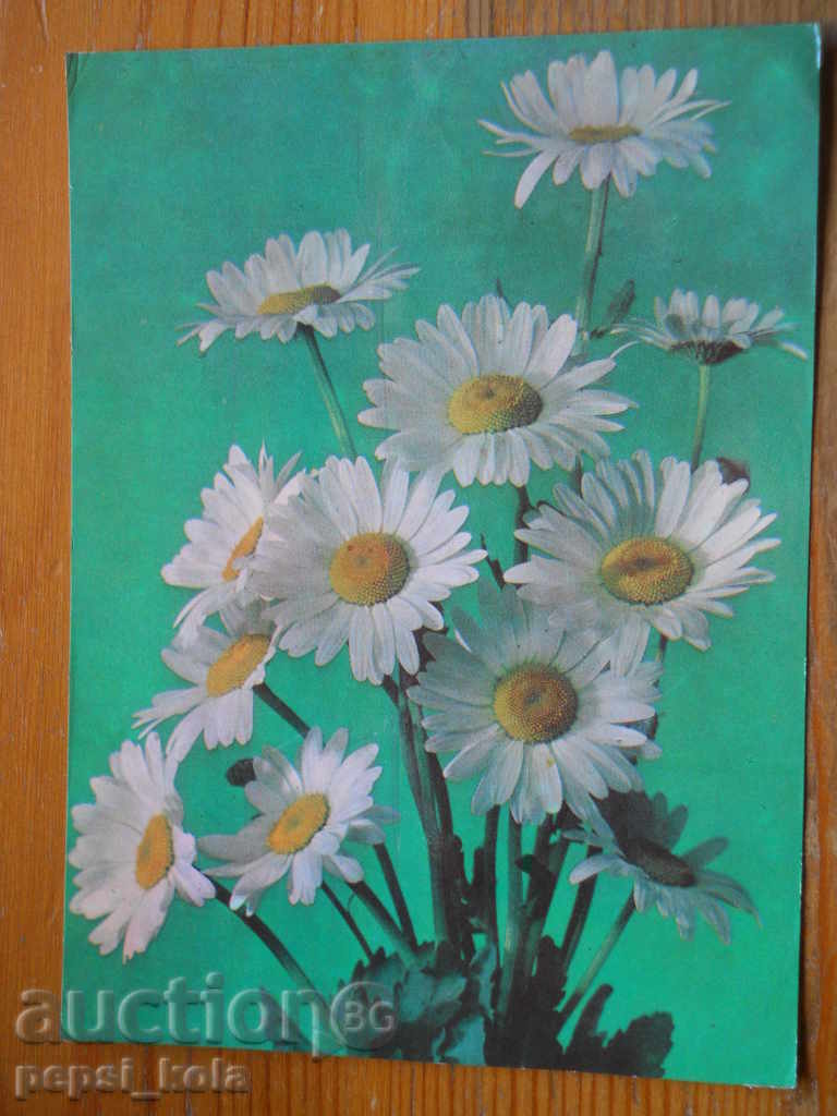 Felicitare - felicitare - URSS