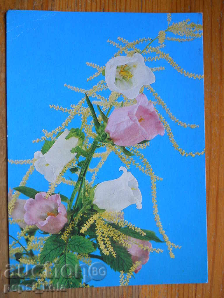 Ευχετήρια κάρτα - Πολωνία - 1986 Ευχετήρια κάρτα - Πολωνία - 1986