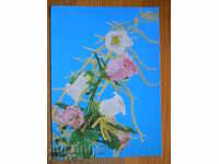 Felicitare - felicitare - Polonia - 1986