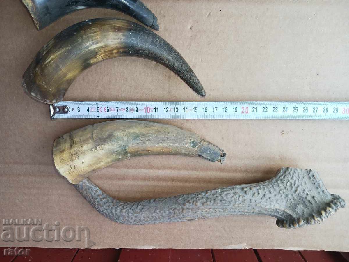 Κέρας, κέρατα, θήκη για μπαρούτι, θήκη για μπαρούτι, λαβή μαχαιριού με τιμή 25.00 BGN | € 12.78 Κέρας, κέρατα, θήκη για μπαρούτι, θήκη για μπαρούτι, λαβή μαχαιριού με τιμή 25.00 BGN | € 12.78