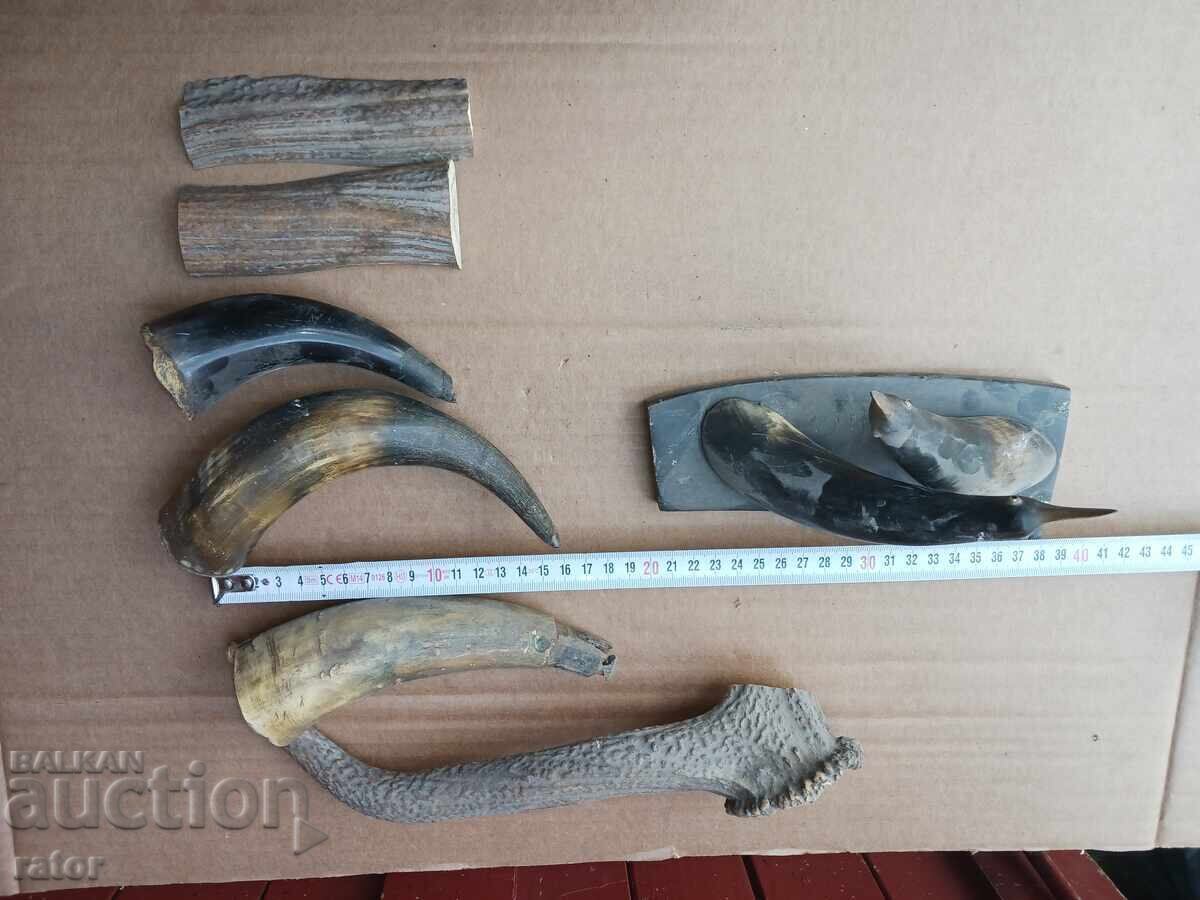 Κέρας, κέρατα, θήκη για μπαρούτι, θήκη για μπαρούτι, λαβή μαχαιριού Κέρας, κέρατα, θήκη για μπαρούτι, θήκη για μπαρούτι, λαβή μαχαιριού