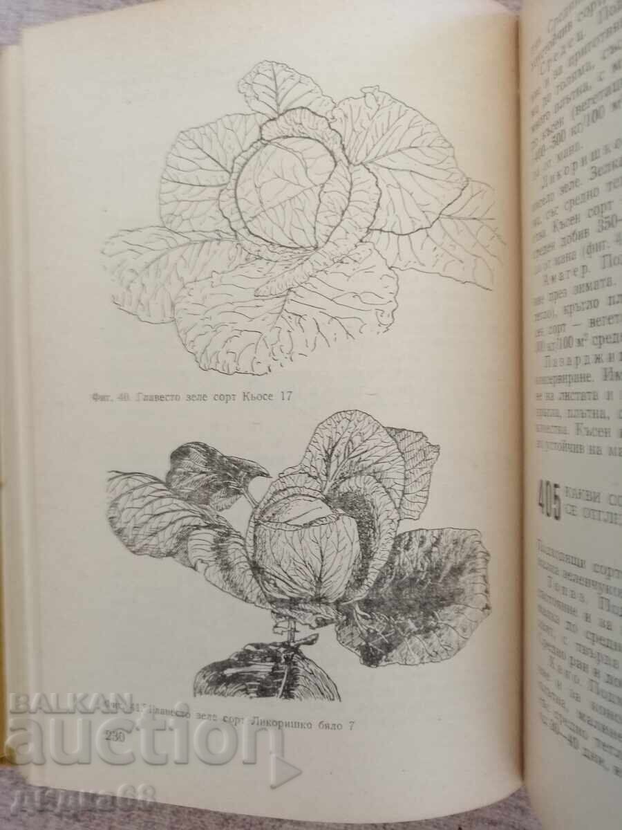 Auction 666 Tips for the Amateur Gardener / M. Alipieva / V. Vasileva Auction 666 Tips for the Amateur Gardener / M. Alipieva / V. Vasileva