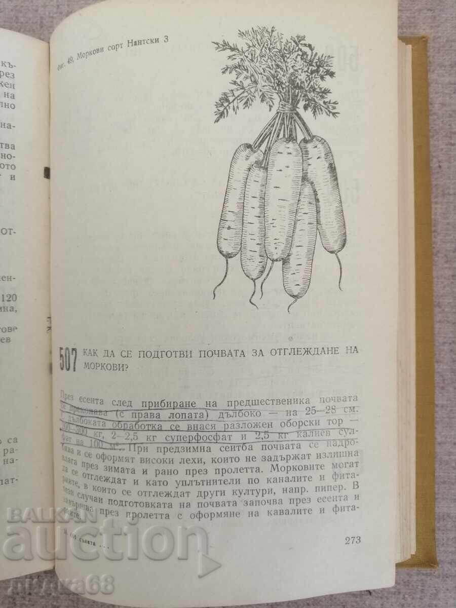 Delivery of 666 Tips for the Amateur Gardener / M. Alipieva / V. Vasileva Delivery of 666 Tips for the Amateur Gardener / M. Alipieva / V. Vasileva